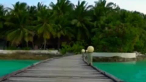 Maldives Island #travel #shorts#rumble #vlog