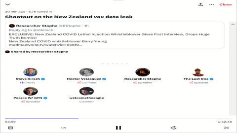 Steve Kirsch Validates The NZ Whistleblower’s Dashboard On Twitter Spaces Dec 9.