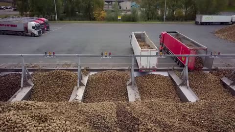 How to Transport Millions Tons of Fruit and Vegetable 🍒🌽 - Smart Transportation Technology Ideas
