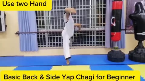 Hapkido Kicking