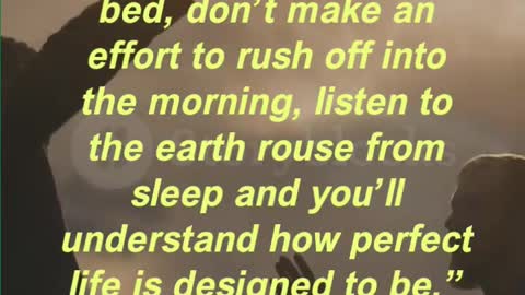 “Some times just lie in bed, don’t make an effort to rush off into the morning,