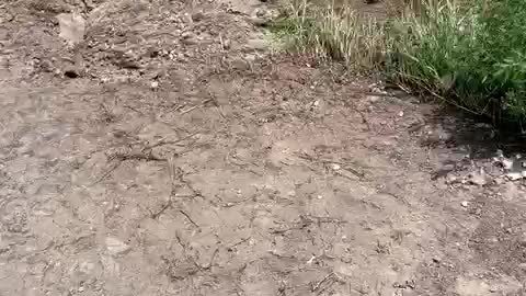 Rain washes out road and fence.