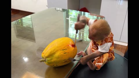 Smart Monkey BiBi Cutting Papaya
