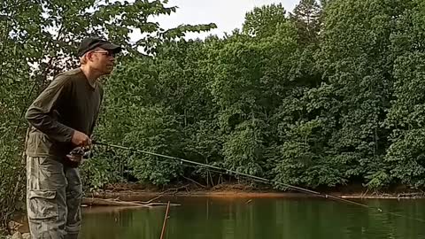 Channel Catfish Reel In