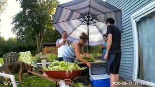 Family Shucking Corn in Timelapse