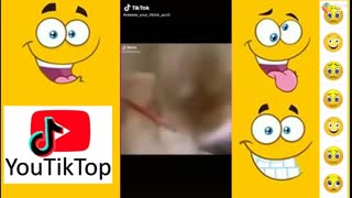 OS MELHORES E MAIS ENGRAÇADOS VIDEOS TIK TOK DA NET (DUVIDO VOCÊ NÃO RIR) #08