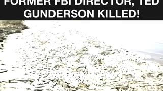 The Video That Got Former Fbi Director, Ted Gunderson Killed!