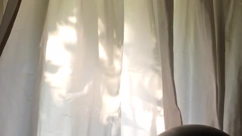 The sun's fluttering on the curtain