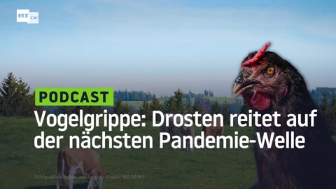 Vogelgrippe: Hofvirologe Drosten reitet schon auf der nächsten Pandemie-Welle