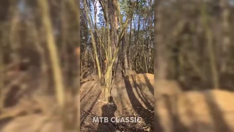 🚲 Best MTB Fails | MTB Crashes of 2023 / Mtb Classic 🚲