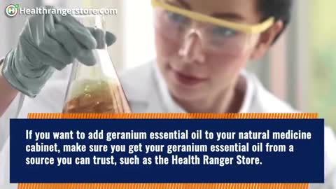 6 Health benefits of geranium essential oil