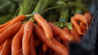 Carrot Unveiled: Discover the Power-Packed Nutritional Facts! #carrot #carrot recipes