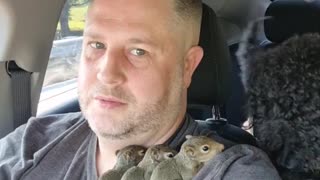 Baby Squirrels Rescued After Losing Their Home