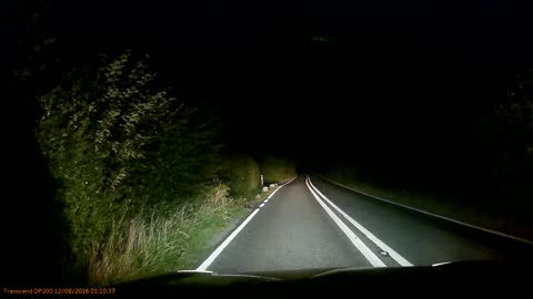 Lucky Deer Narrowly Avoids Collision with Car