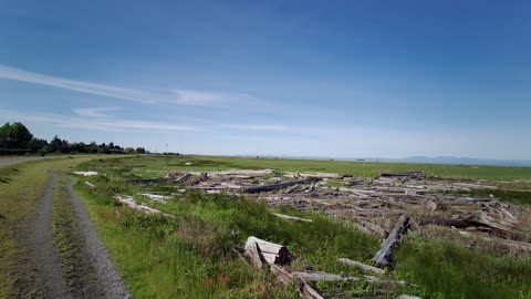 Dyke Trail Slough