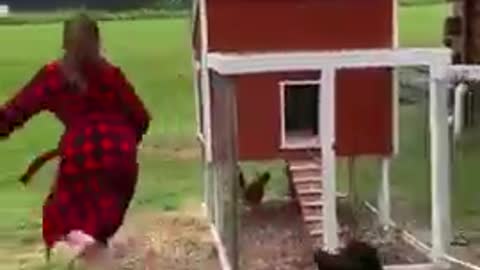 ANGRY HEN CHASE OWNER...FUNNY