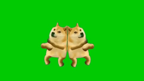 Dog Meme Song Remix using Green Screen 【Feel Good Vibes】