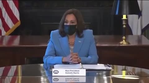 Kamala Harris: "I am Kamala Harris, my pronouns are she and her, and I am a woman sitting at the table wearing a blue suit."