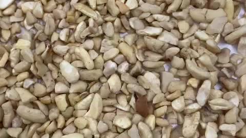 SP Cashew Vietnam Small Pieces Of Cashew Nuts Kernels In High-Quality