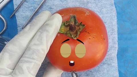 heart transplant of persimmon//one follow please