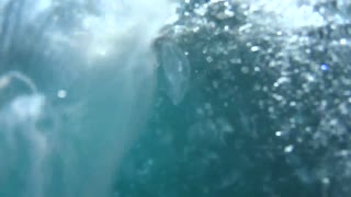 swimming through a huge amount of jellyfish