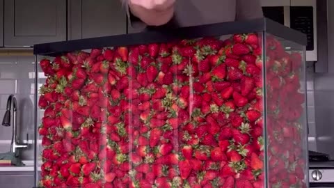 Can he eat 100 litres of strawberries?