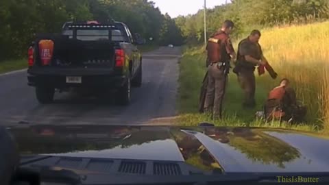 Michigan deputies rescue injured bald eagle struck by car