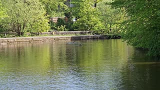 Walk to Hebden Bridge