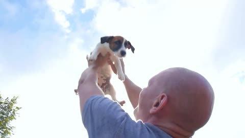 Man Playing with Dog Outdoors. Slow Motion