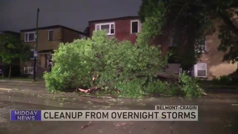 Storm-felled trees damage Belmont Cragin homes, vehicle | WGN News