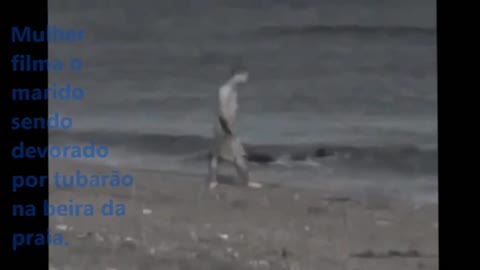 TRAGÉDIA Tubarão devora homem na praia TRAGEDY Shark devours man on the beach