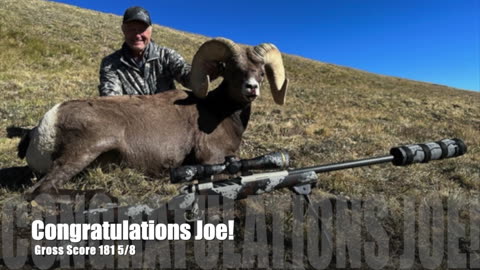 Big Horn Sheep Hunt | 300 Weatherby Mag | 182 Hammer HHT