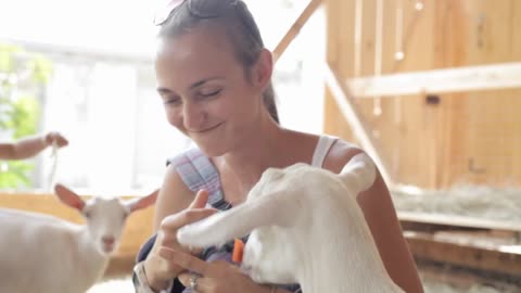 Young women feeding goat from hand