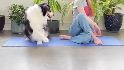 This smart mimicked it's owner on Happy international yoga day