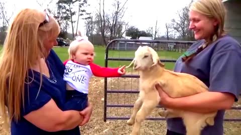 Cute Baby Girl Perfectly Mimics Little Goat in Farm
