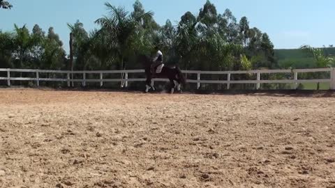 Horse tamer Vagner aguilar calmly performs rational taming Lusitanian thoroughbred horses