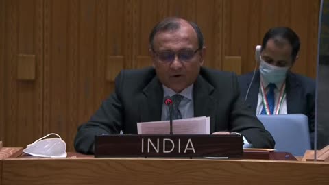 India at UN Security Council on Ukrainian biolabs