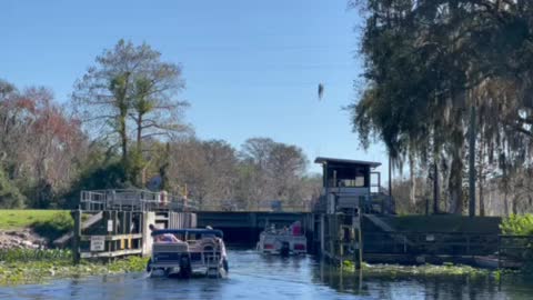 Haines Creek in Central Florida 🇺🇸