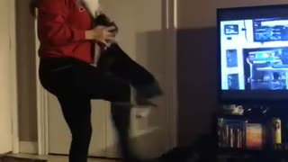 Boston Terrier Bites Panda Mask