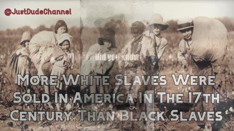 More White Slaves Were Sold In America In The 17th Century Than Black Slaves