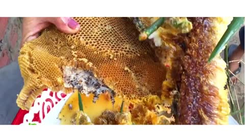 Primitive Technology - Amazing Man Find Giant HoneyBee