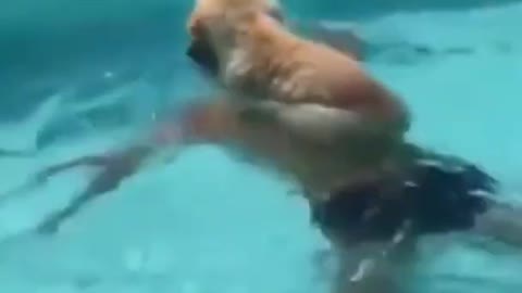 Over the summer. Cute pup learning how to swim