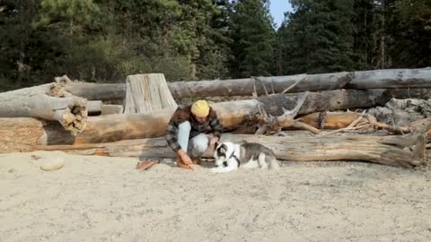 Man Training a Dog