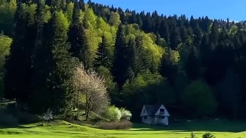 Beautiful Nature - Travel in Georgia 🇬🇪