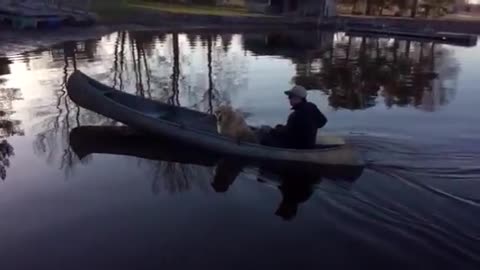 Canoe ride with Harper the Golden Retreiver.