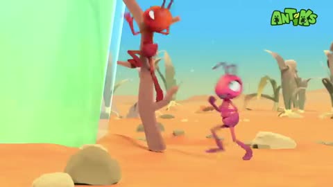 Ant funny cartoon for kidz