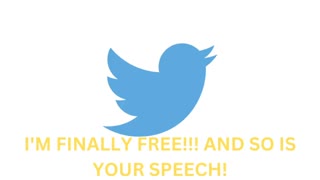 TWITTER IS NOW A FREE SPEECH PLATFORM!!! OR IS IT?? ELON MUSK TAKES OVER AND FIRES CEO AND CFO!