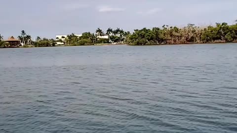 Dock sitting