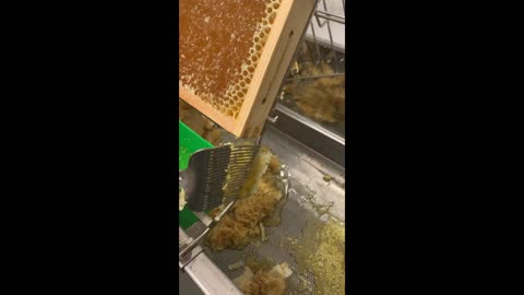 Satisfying With Sweet Honey