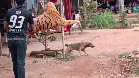 #Real Dog 🐶 VS Fake Tiger 🐯 #Prank PART 7 #How can I Stop laugh Funny